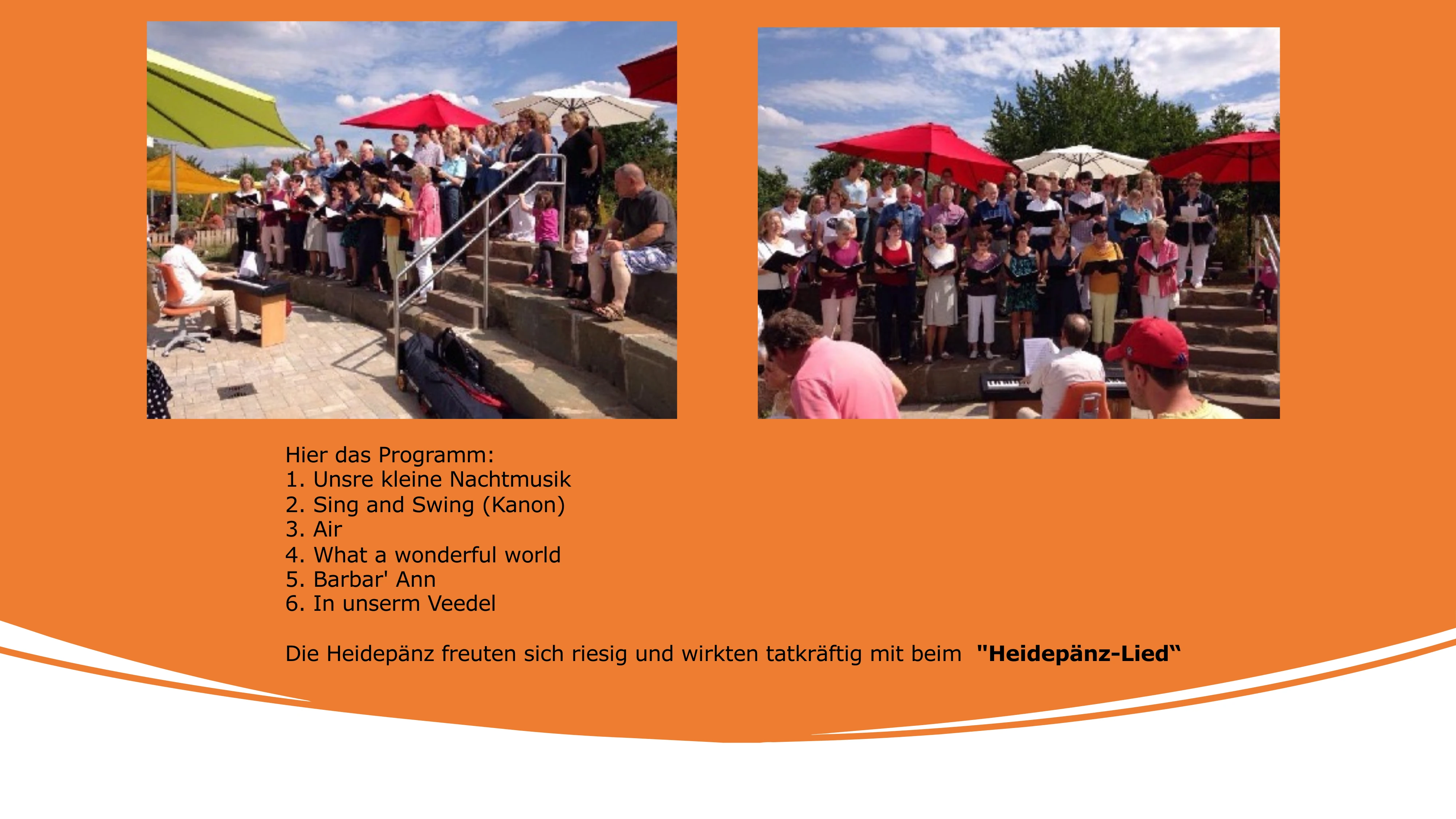 Heidepänz.webp